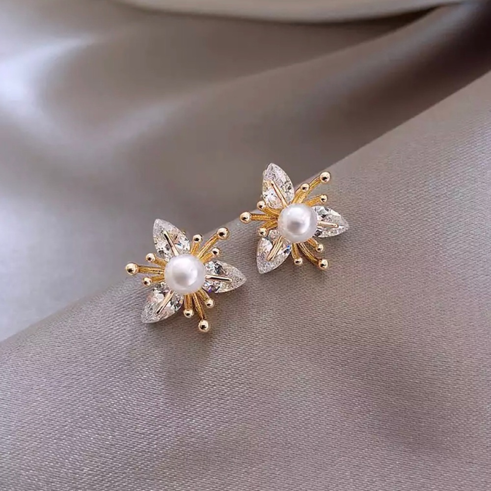 Earrings ✨